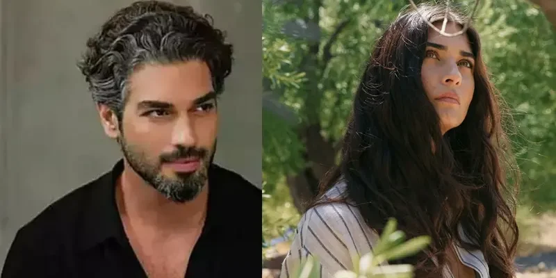 3 сезон на "Маслиново дърво"